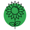 Sunflower Class icon