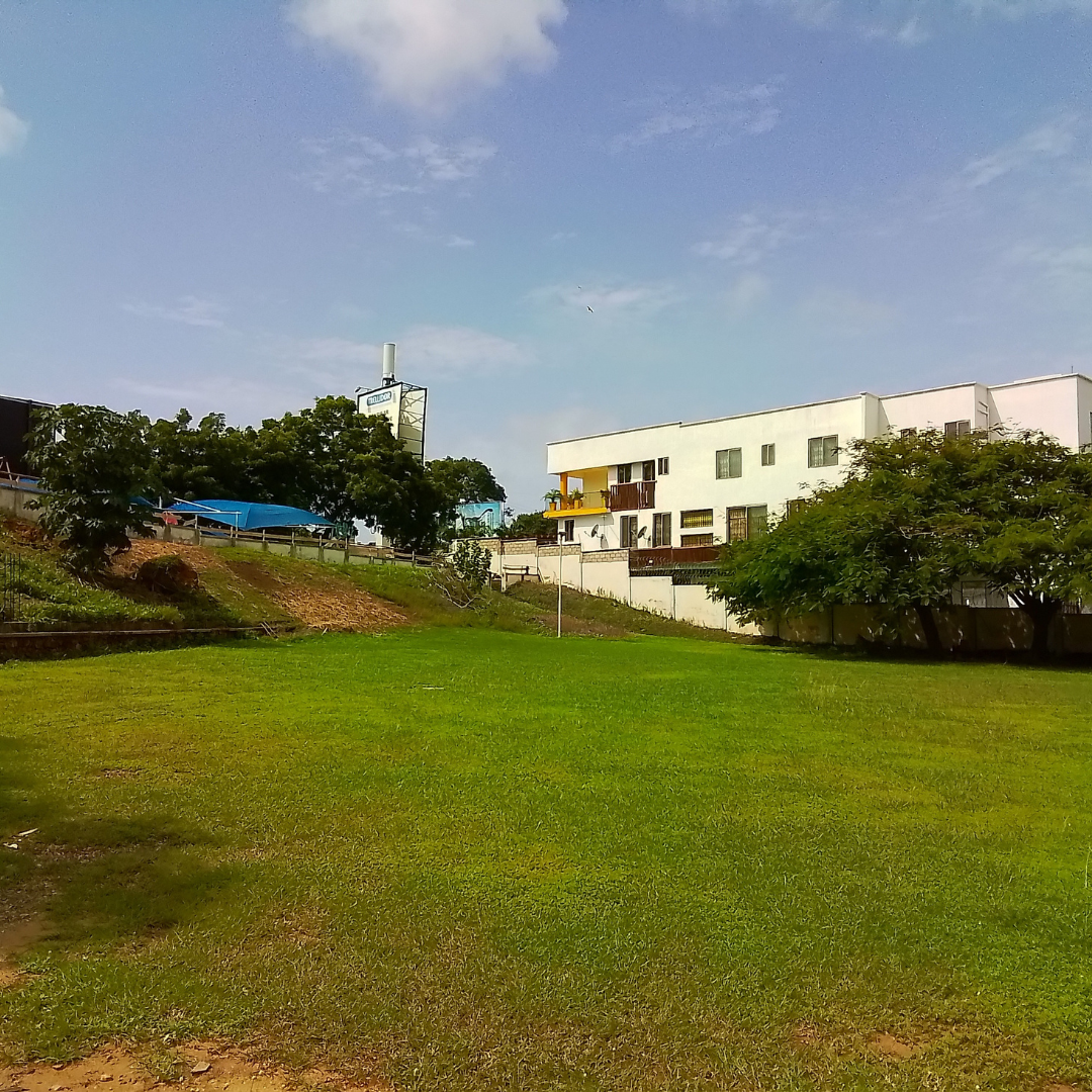 Large green field outside the school.